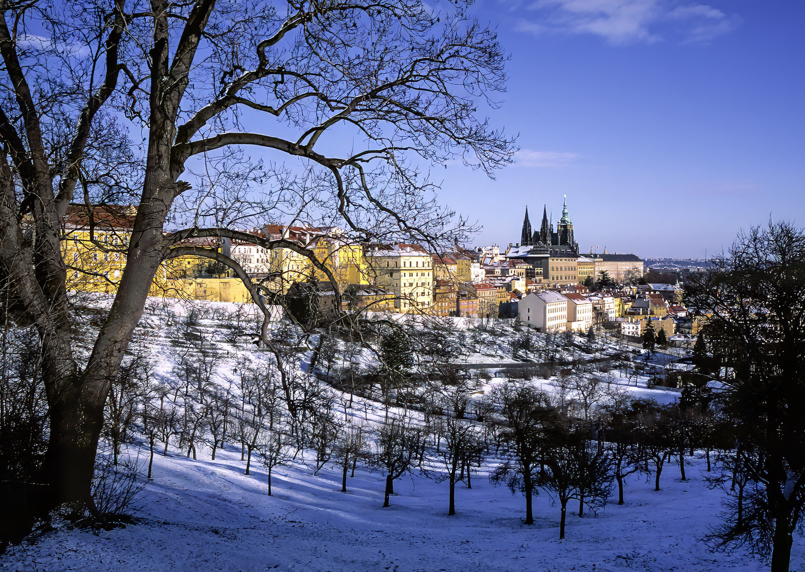 Prague in Winter. Czechia. artwork